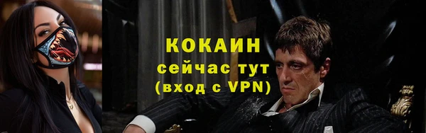 хмурый Няндома