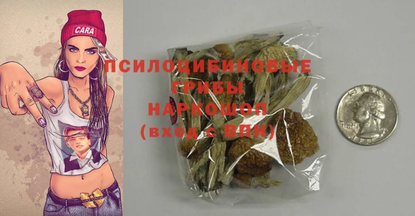 хмурый Няндома