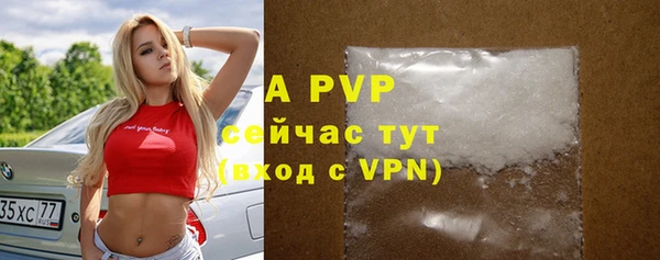 стафф Абаза