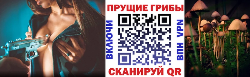 shop состав  Ялта  Галлюциногенные грибы прущие грибы 